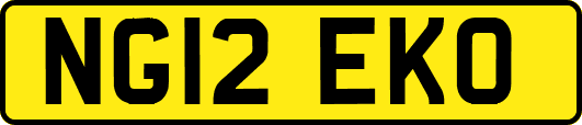 NG12EKO