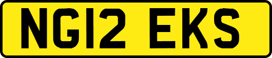 NG12EKS