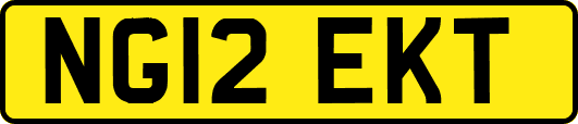 NG12EKT