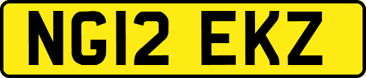 NG12EKZ