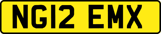 NG12EMX