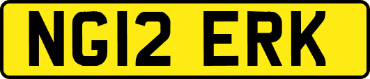NG12ERK