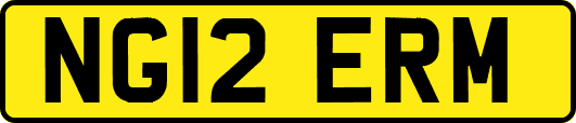NG12ERM