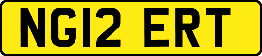 NG12ERT