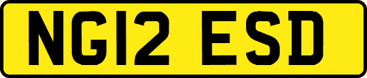 NG12ESD