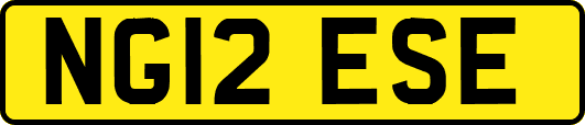NG12ESE