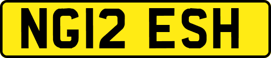 NG12ESH
