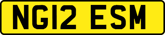 NG12ESM
