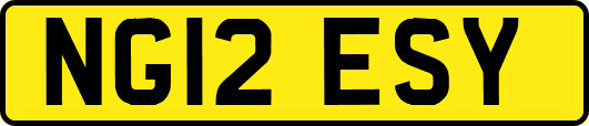 NG12ESY