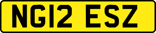 NG12ESZ