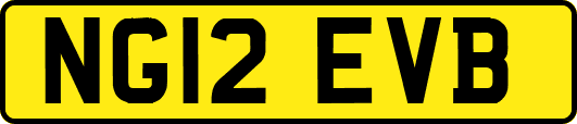 NG12EVB