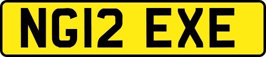 NG12EXE