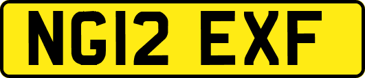 NG12EXF