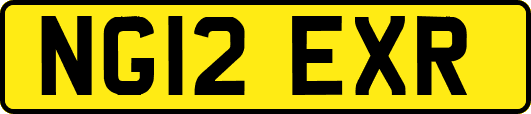 NG12EXR