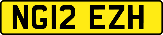 NG12EZH