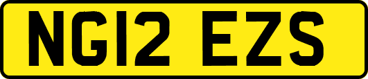 NG12EZS