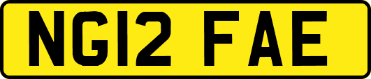 NG12FAE