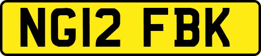 NG12FBK