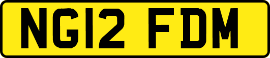 NG12FDM