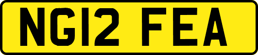 NG12FEA