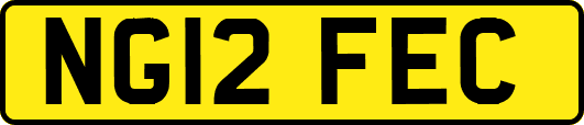 NG12FEC