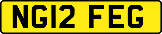 NG12FEG