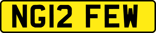NG12FEW