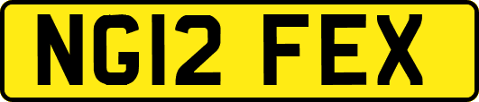 NG12FEX