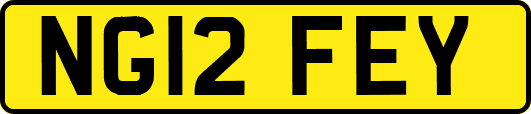 NG12FEY