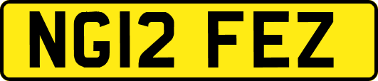 NG12FEZ