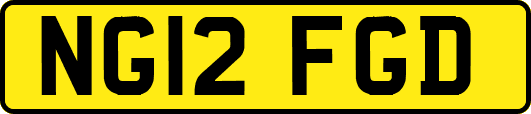 NG12FGD