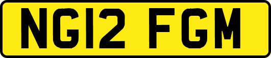 NG12FGM