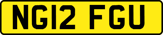 NG12FGU
