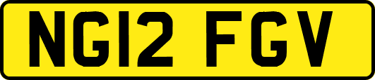NG12FGV