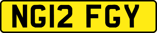 NG12FGY