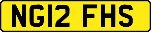 NG12FHS