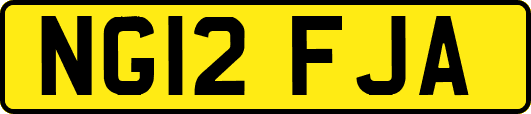 NG12FJA