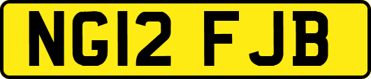 NG12FJB