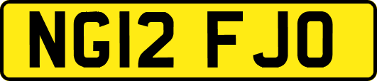 NG12FJO