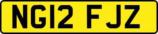 NG12FJZ