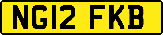 NG12FKB