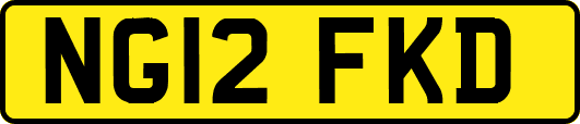 NG12FKD