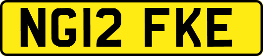 NG12FKE