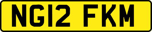 NG12FKM