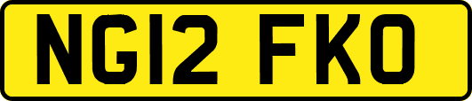 NG12FKO