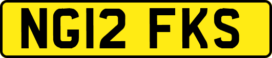 NG12FKS