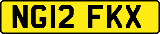 NG12FKX