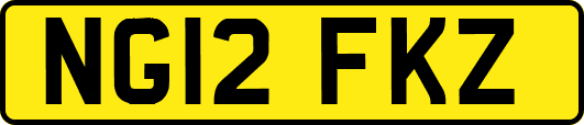 NG12FKZ