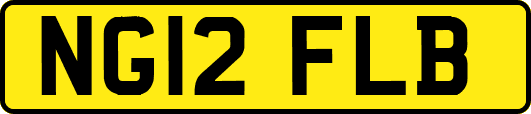 NG12FLB