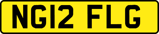 NG12FLG